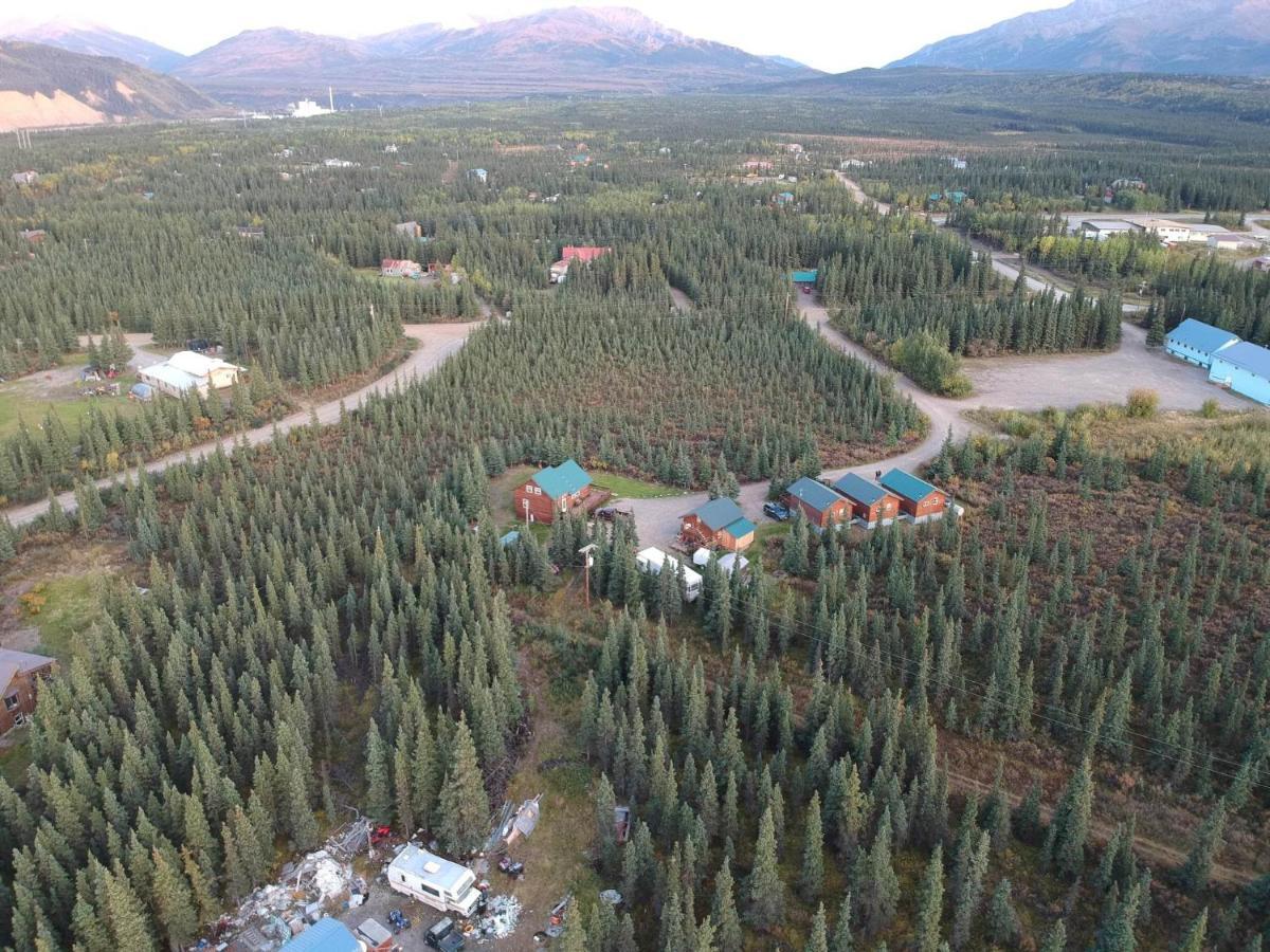 הילי Denali'S Alaskan Spruce Cabins מראה חיצוני תמונה