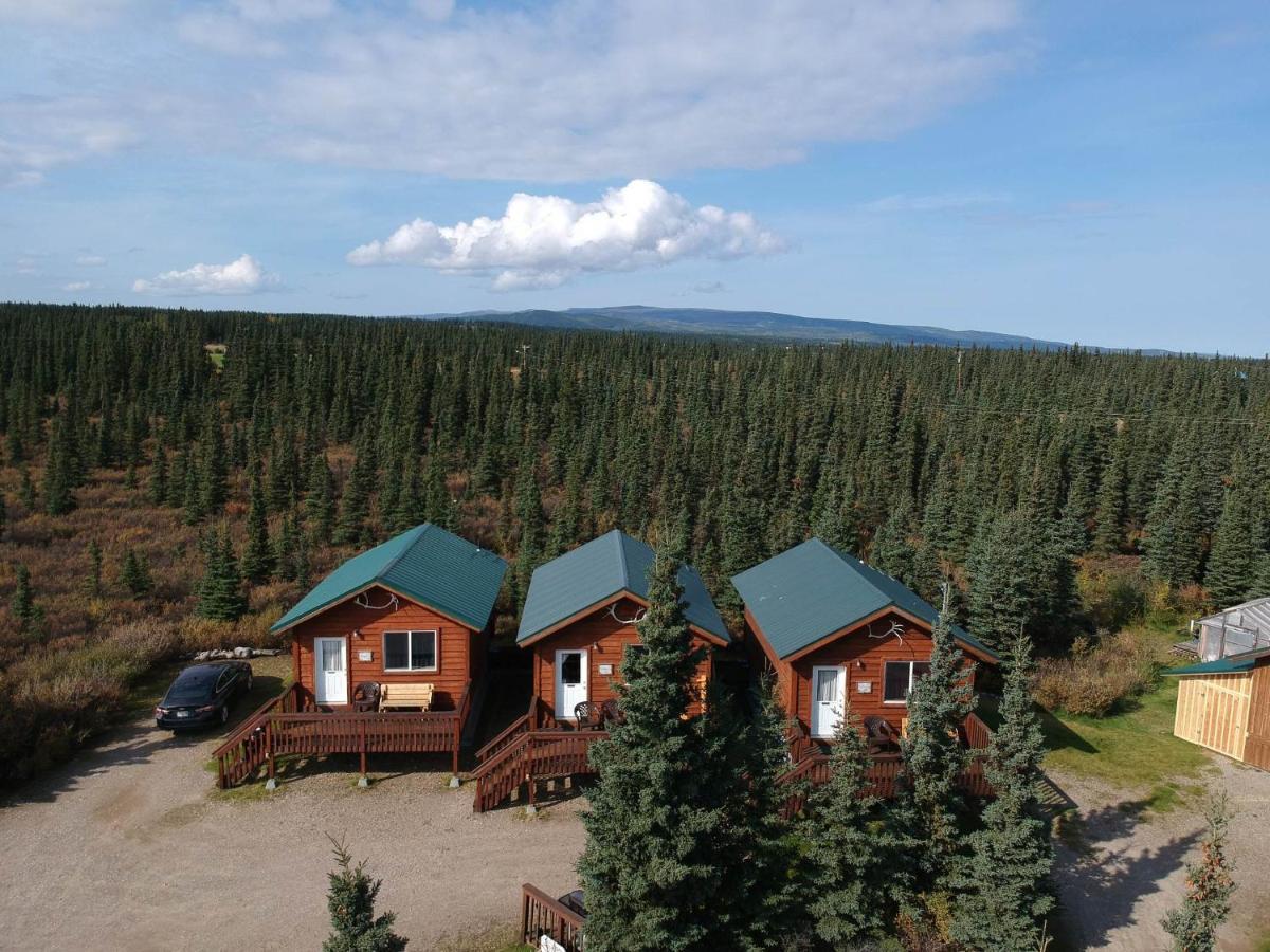 הילי Denali'S Alaskan Spruce Cabins מראה חיצוני תמונה
