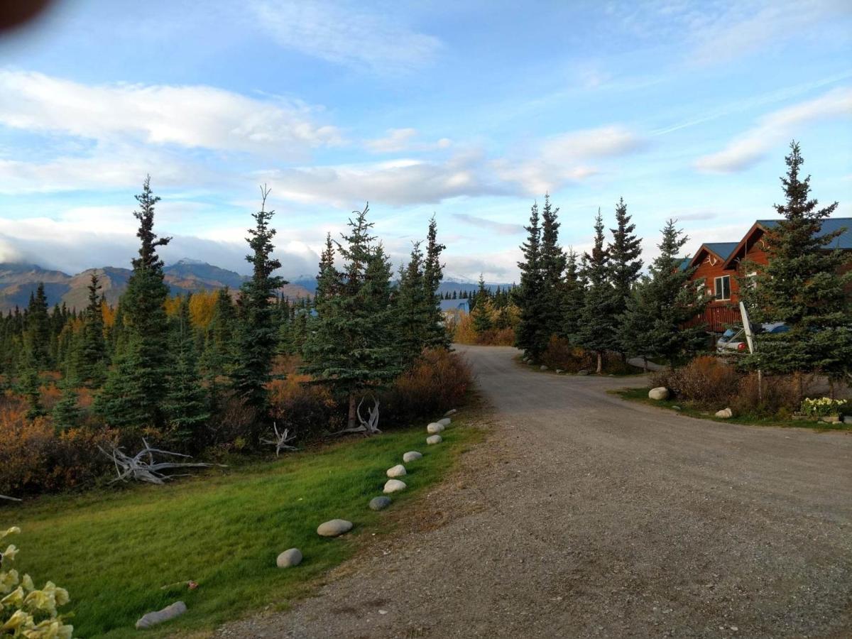 הילי Denali'S Alaskan Spruce Cabins מראה חיצוני תמונה