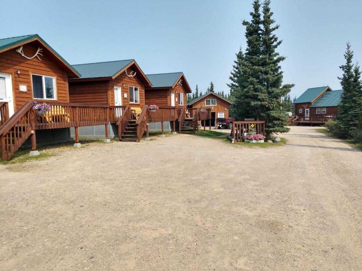 הילי Denali'S Alaskan Spruce Cabins מראה חיצוני תמונה