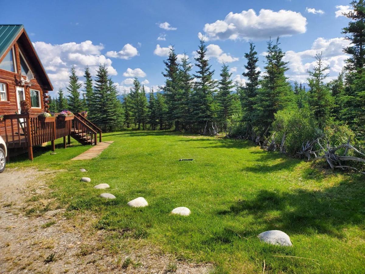 הילי Denali'S Alaskan Spruce Cabins מראה חיצוני תמונה