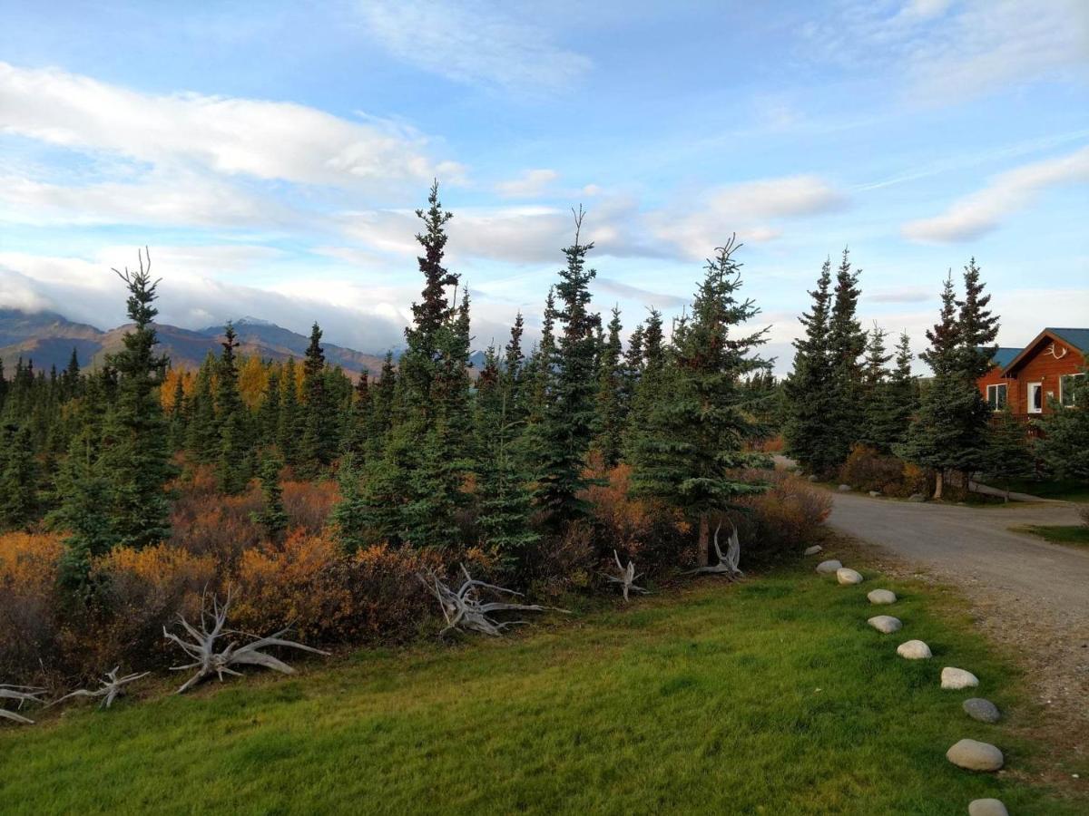 הילי Denali'S Alaskan Spruce Cabins מראה חיצוני תמונה