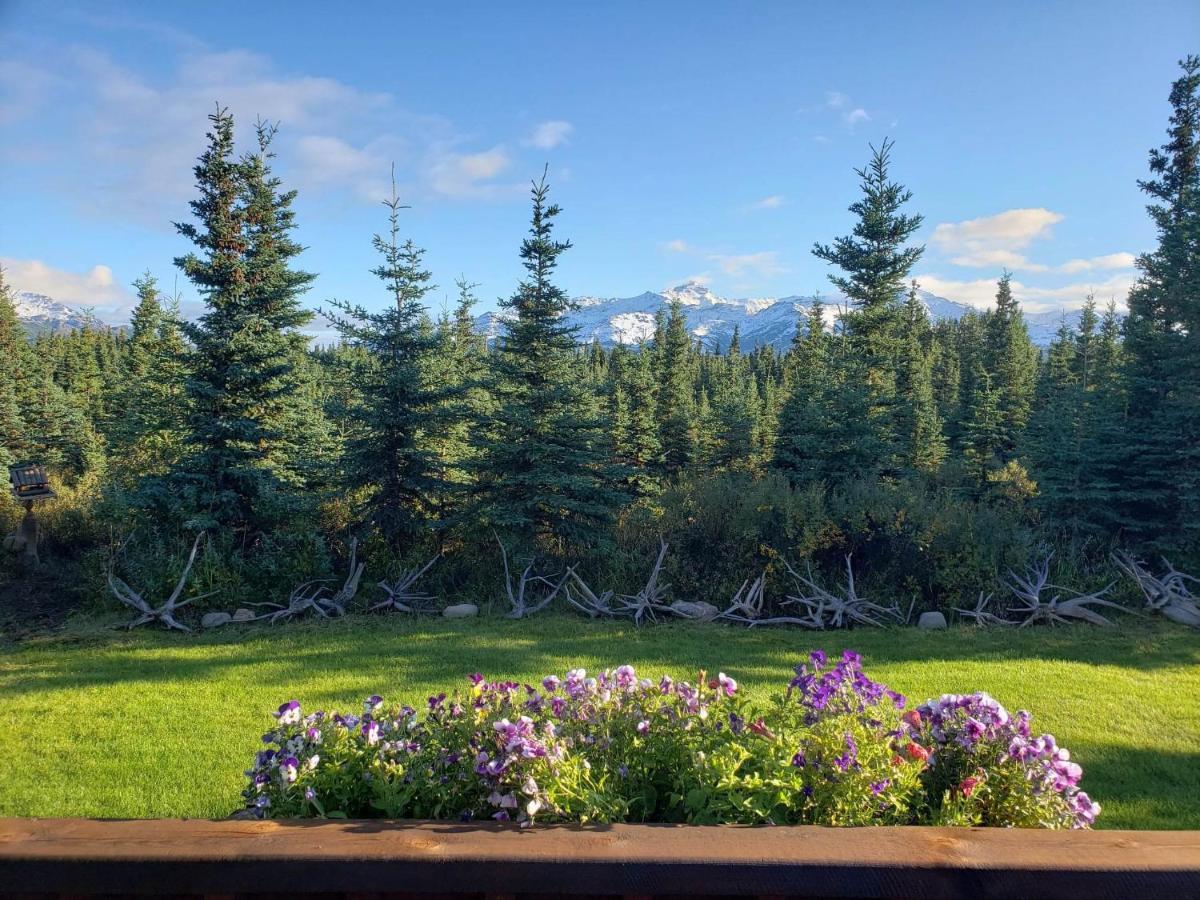 הילי Denali'S Alaskan Spruce Cabins מראה חיצוני תמונה