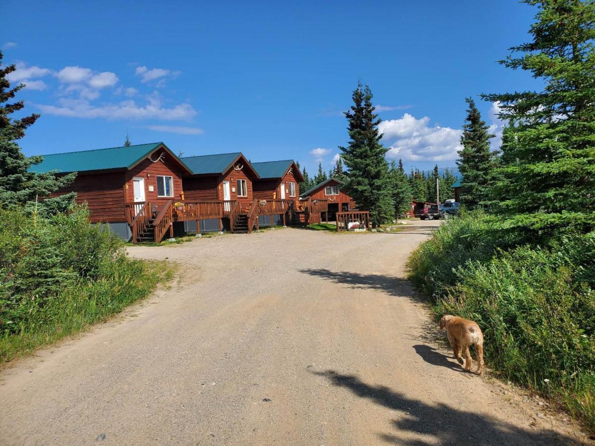 הילי Denali'S Alaskan Spruce Cabins מראה חיצוני תמונה