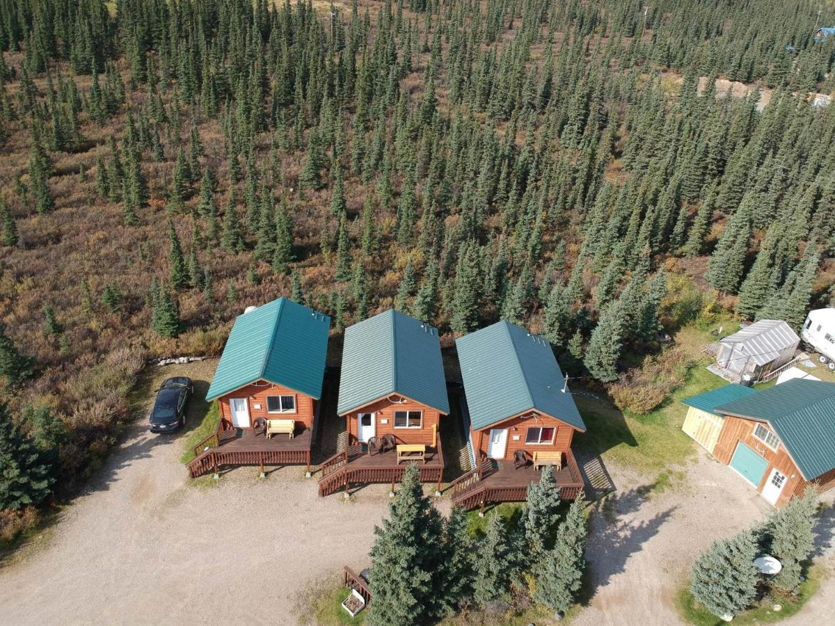 הילי Denali'S Alaskan Spruce Cabins מראה חיצוני תמונה