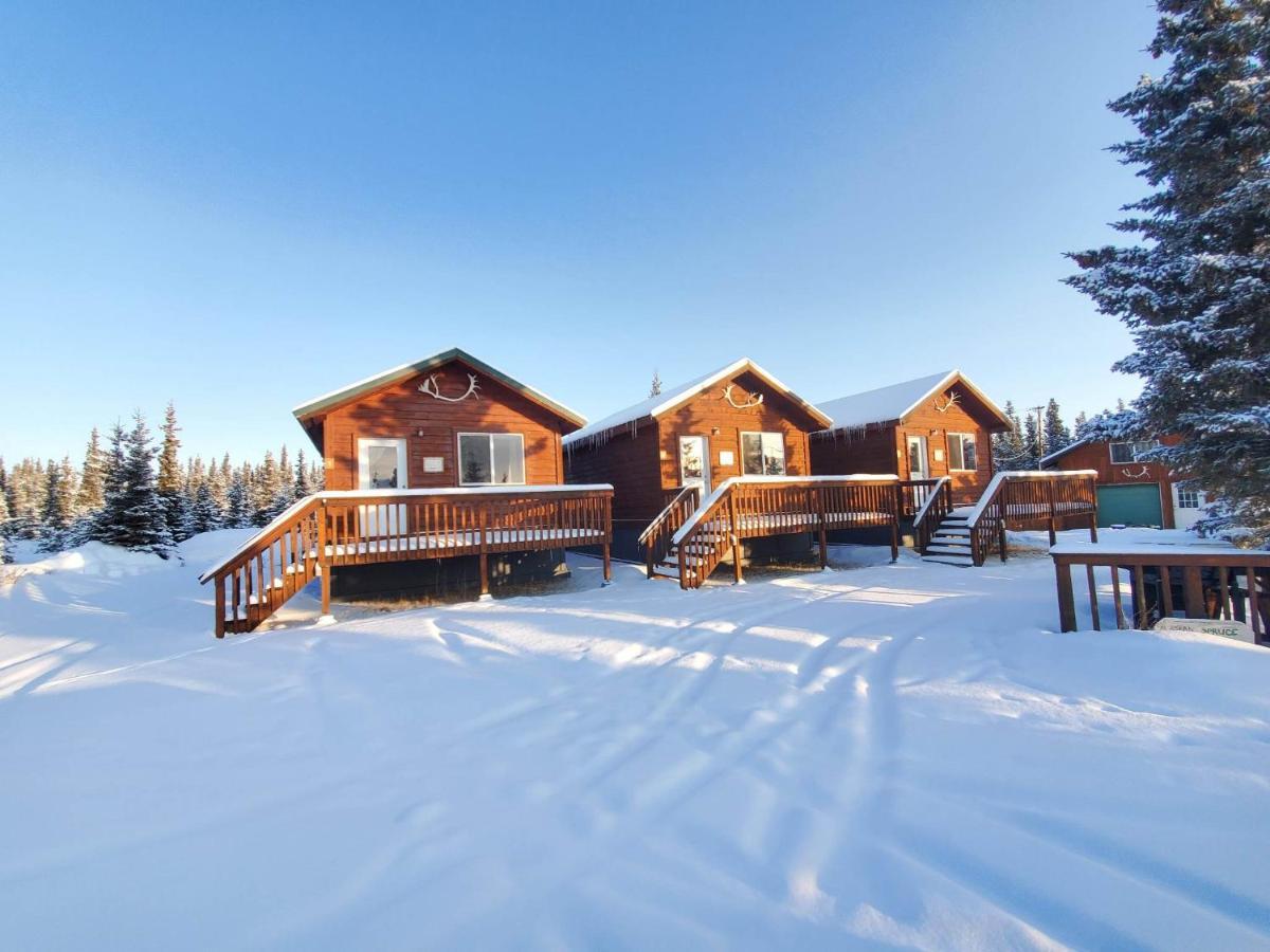 הילי Denali'S Alaskan Spruce Cabins מראה חיצוני תמונה