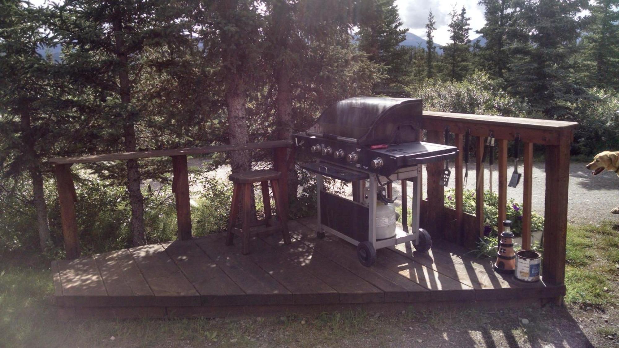 הילי Denali'S Alaskan Spruce Cabins חדר תמונה