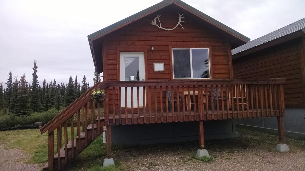 הילי Denali'S Alaskan Spruce Cabins מראה חיצוני תמונה