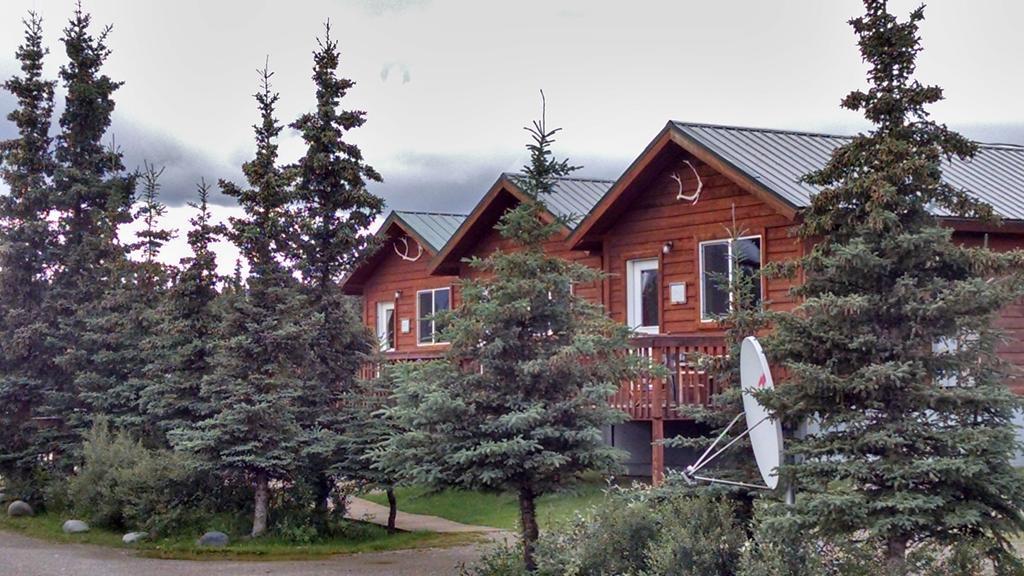 הילי Denali'S Alaskan Spruce Cabins מראה חיצוני תמונה