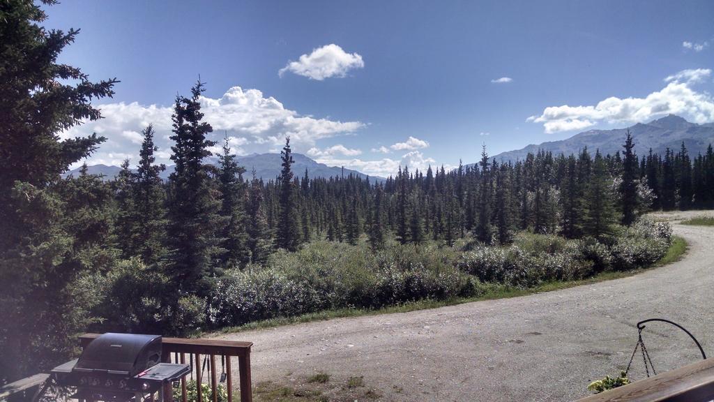 הילי Denali'S Alaskan Spruce Cabins מראה חיצוני תמונה
