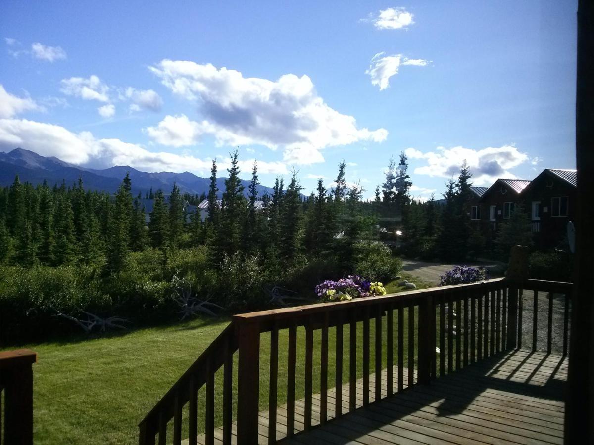 הילי Denali'S Alaskan Spruce Cabins מראה חיצוני תמונה
